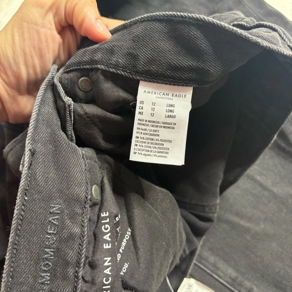 NWT American Eagle Relaxed Mom Jean Size 12 Long